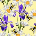 Seamless summer pattern. Wild flowers chamomile, herbs, iris. Floral decoration for printing on wallpaper, paper, textiles. Royalty Free Stock Photo