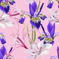 Seamless summer pattern. Wild flowers iris, succulent and lilies. Floral decoration for printing on wallpaper, paper, textiles. Royalty Free Stock Photo