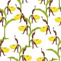 Seamless pattern tropical flower, watercolor style, yellow orchids on white background. Royalty Free Stock Photo