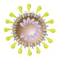 Coronavirus showing structures and anatomy Royalty Free Stock Photo