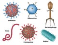 Virus types in different shapes and sizes Royalty Free Stock Photo