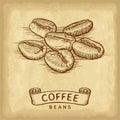 Hand drawn coffee beans with ribbon banner on old craft paper texture background. Engraved style vector illustration. Royalty Free Stock Photo