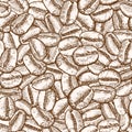 Hand drawn coffee beans. Seamless pattern. Abstract background. Engraved style vector illustration. Royalty Free Stock Photo