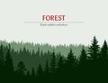 Abstract background. Forest wilderness landscape. Template for your design works.