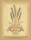 Hand drawn wheat ears. Bakery shop logo. Ribbon banner and lettering. Old craft paper texture background.