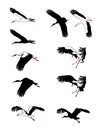 Flying storks silhouettes set. Vector illustration. Royalty Free Stock Photo