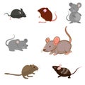 Rat breeds icon set flat style isolated on white. Pet rodents collection.