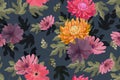 Art floral vector seamless pattern. Autumn pink, red, yellow, purple asters, chrysanthemums flowers isolated on navy blue backgrou Royalty Free Stock Photo