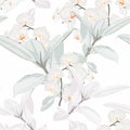 Seamless tropical white orchid flowers and Ficus Elastica pattern on light background. Exotic print. Royalty Free Stock Photo