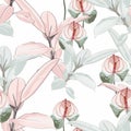 Seamless tropical lilies flowers and Ficus Elastica pattern on light background. Exotic print. Royalty Free Stock Photo