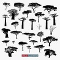 African tree isolated silhouettes set. Vector illustration. Royalty Free Stock Photo