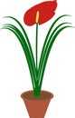 Big flower in brown flowerpot, vector