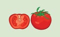 Fresh red tomato slice vector design