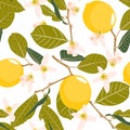 Seamless citrus pattern with palm flowers on white background. Hand drawn illustration with lemons.