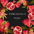 Pomegranate banner template. Fruit design collection. Engraved style illustration. Botanical fruit.