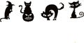 Halloween scary cats Vector illustration