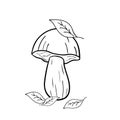 Line drawing mushroom with leaves on white isolated background. Food autumn illustration.