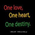 Motivational quote, vector lettering poster. isolated on black background. One love one heart one destiny - 3D