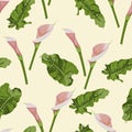 Seamless pattern of pink calla lily flowers with leaves on yellow background. Royalty Free Stock Photo