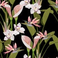 Illustration with pink exotic flowers. Beautiful seamless background with tropical flowers on black. Composition Royalty Free Stock Photo