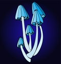 Bright luminosity group of mushrooms on high legs. Cartoon illustration on a dark isolated background.