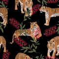 Exotic animal tiger in the jungle pattern black background illustration seamless pattern.