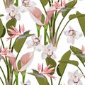 Illustration with pink exotic flowers. Beautiful seamless background with tropical flowers on white. Royalty Free Stock Photo