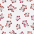 Red, pink, orange, maroon rowan on light gray background. Seamless seasonal pattern. Royalty Free Stock Photo