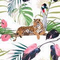 Exotic birds and tiger, monstera palm leaves, white background. Floral seamless pattern. Tropical illustration. Royalty Free Stock Photo