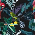 Tropical night vintage wild birds and parrots pattern, palm tree, palm leaves and plant floral seamless border Royalty Free Stock Photo