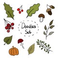 Colorful doodle set of autumn objects. Leaves, branches with berries, mushrooms.