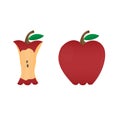 Eat an apple. Apple stump, vector illustration