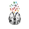 Human brain with zipper and colorful numbers vector illustration. Creativity concept with numbers