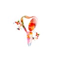 Dental implant colorful vector illustration design isolated. Tooth implant, tooth restoration, implantation