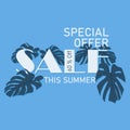 Illustration of vector graphic summer special sale