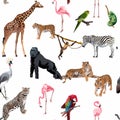 Different kind of tropical Safari animals characters seamless pattern.