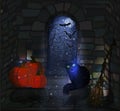 Happy Halloween wallpaper with black cat, witch broom, pumpkin Royalty Free Stock Photo