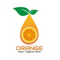 Illustration vector graphic of orange fruit with leaf Royalty Free Stock Photo