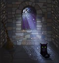 Happy Halloween card with black cat and witch broom Royalty Free Stock Photo