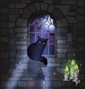 Ornate gothic window with black cat and candles, background