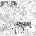 Tropical zebra animal, palm leaves, white background. Seamless pattern. Graphic illustration. Exotic jungle plants. Royalty Free Stock Photo