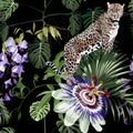 Seamless pattern with tropical, leaves, passiflora flowers and leopard animal. Illustration on black background.