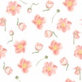 Floral vintage greeting seamless pattern with beautiful blossoming spring pink anemones and buds.