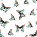 Seamless pattern with flying blue butterflies on a white background.