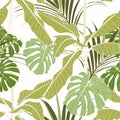 Stylish colorful floral leaves and banana tree seamless pattern on white background. Royalty Free Stock Photo