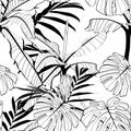 Foliage seamless pattern, banana tree and palm leaves line art ink drawing in black and white. Royalty Free Stock Photo
