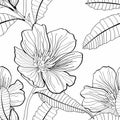 Anemones deisy camomile flower illustration. Black white line seamless pattern. Royalty Free Stock Photo