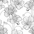 Anemones deisy camomile flower illustration. Black white line seamless pattern. Royalty Free Stock Photo
