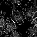 Anemones deisy camomile flower illustration. Black white line seamless pattern. Royalty Free Stock Photo