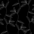 Anemones deisy camomile flower branches illustration. Black white line seamless pattern.